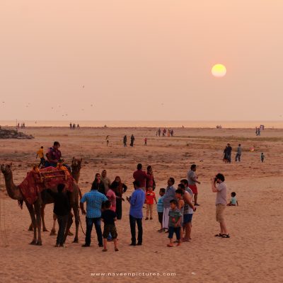 Indian local tourists with a camel on the beach